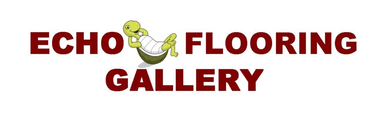 A logo for echo flooring gallery with shrek on it