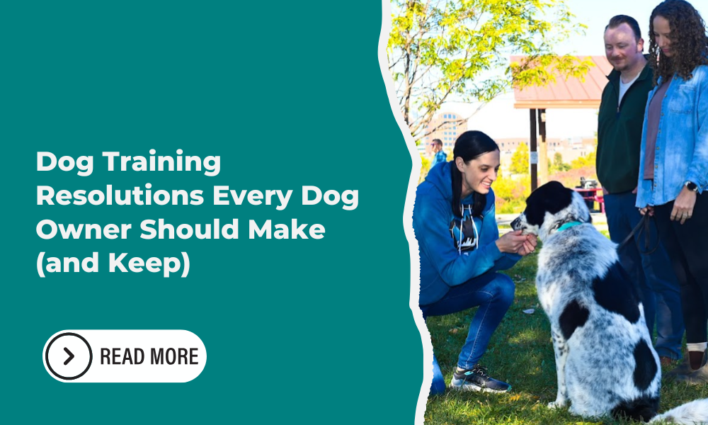 Dog Training Resolutions Every Dog Owner Should Make (and Keep)