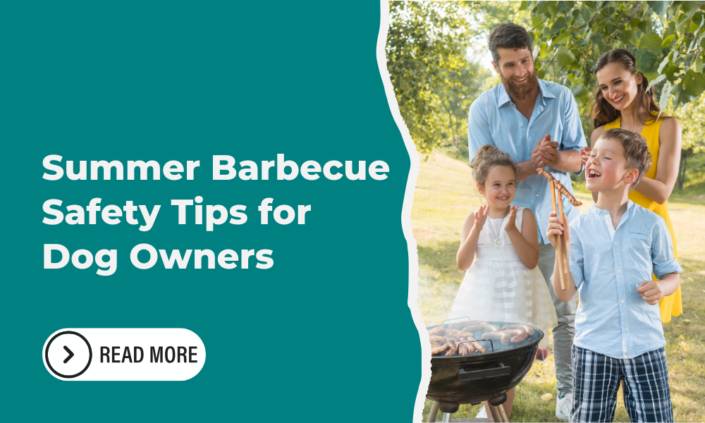 Summer Barbecue Safety Tips for Dog Owners
