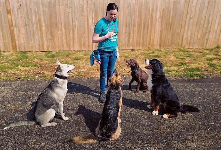 A woman is standing next to a group of dogs.