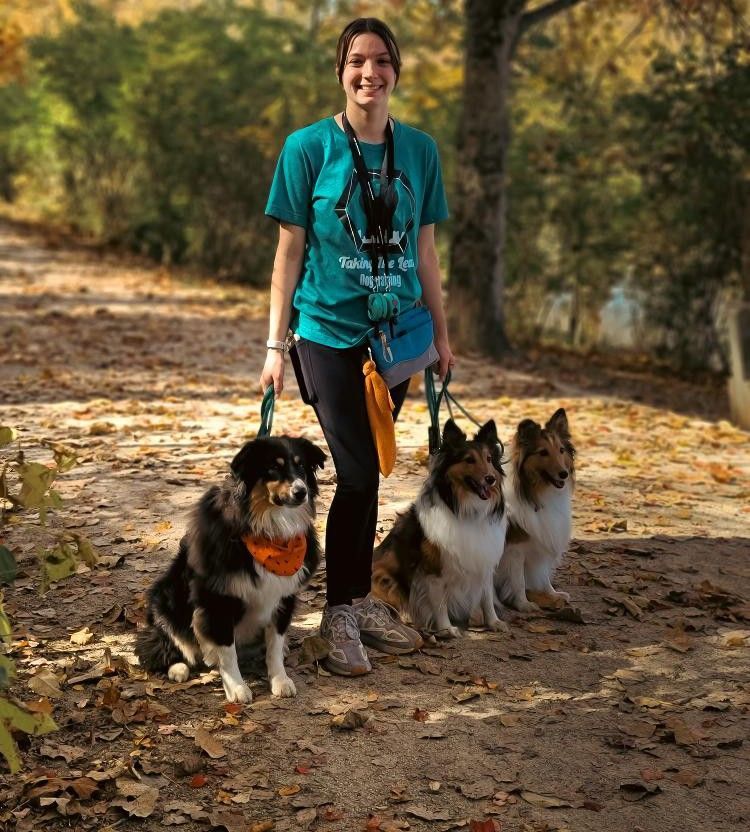 A woman is walking three dogs on a leash.