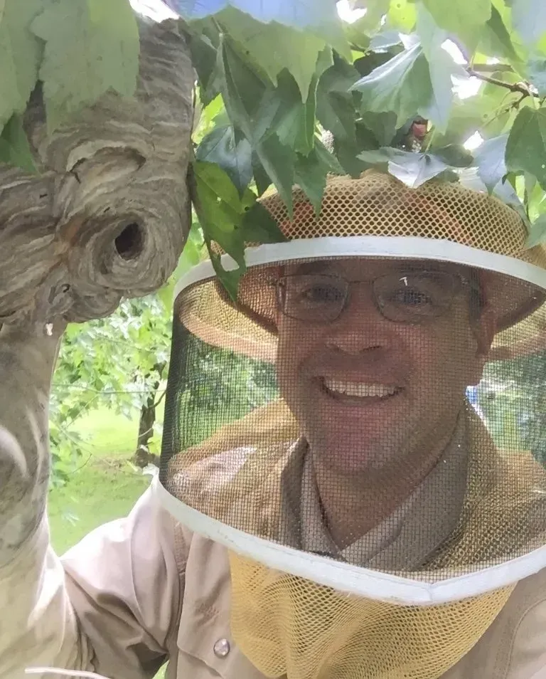 The Bee Man Removes a Hornet Nest From a Tree