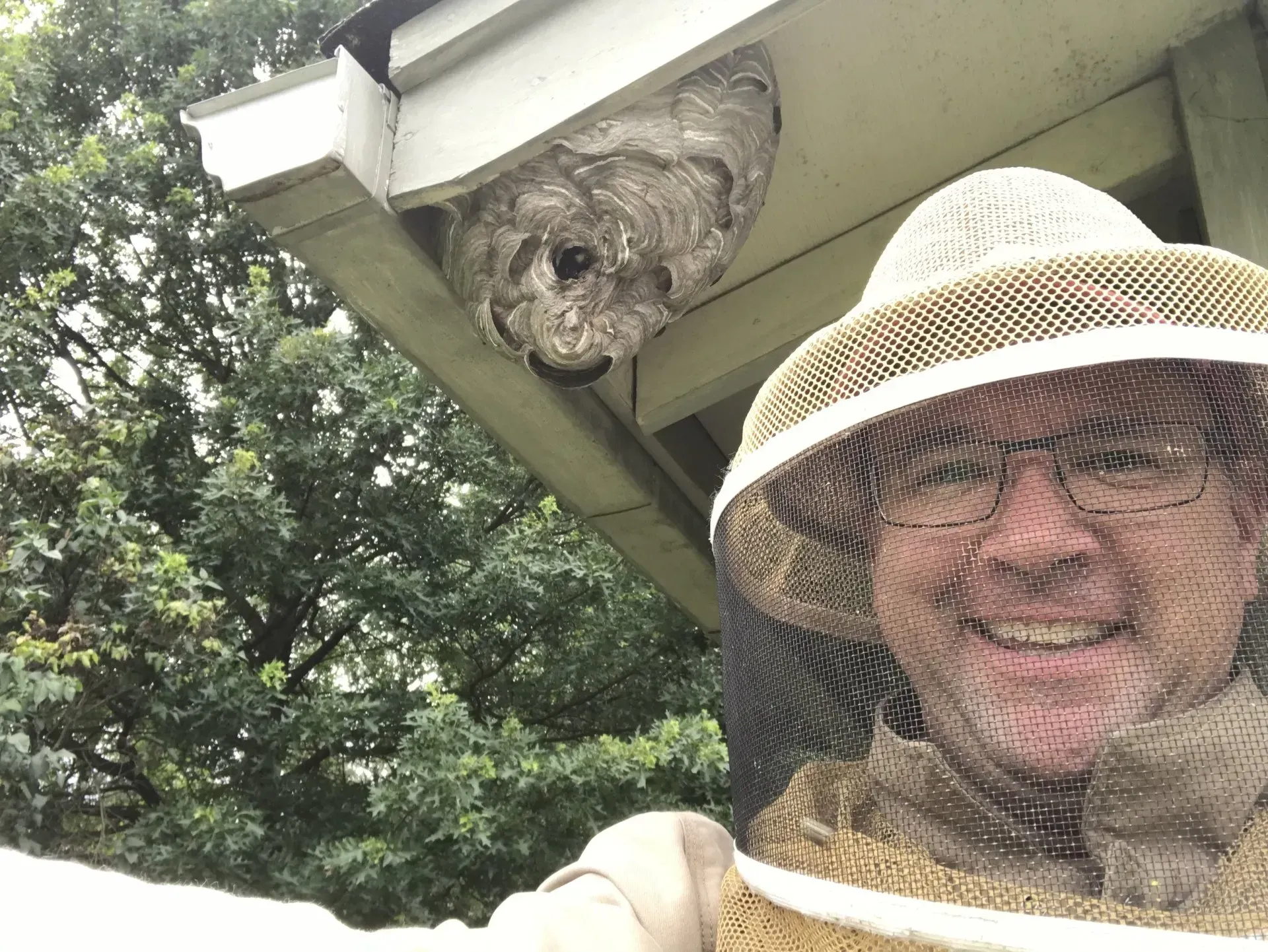 The Bee Man is Removing a Hornets Nest