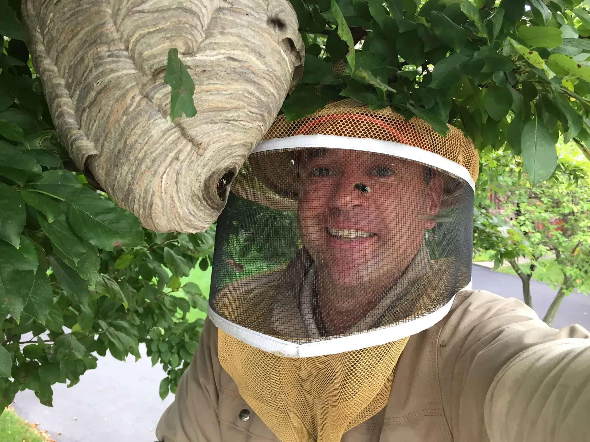 Dan Removing a Bee Nest from a Home in Cranberry