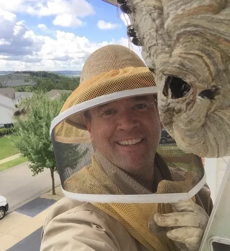 We are Removing a Hornets Nest from a Roof