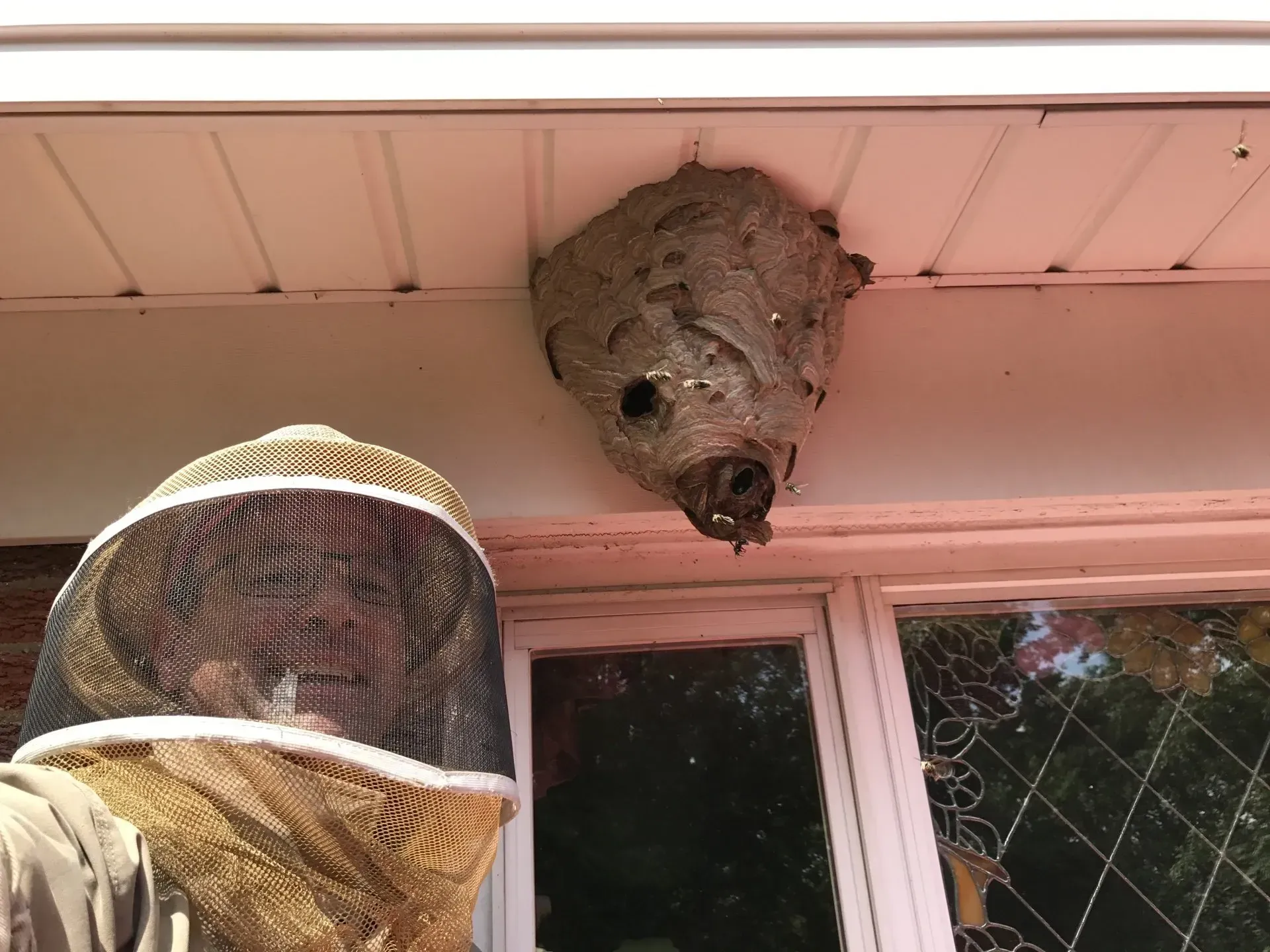 Removing and Controlling a Wasp Nest on a Home