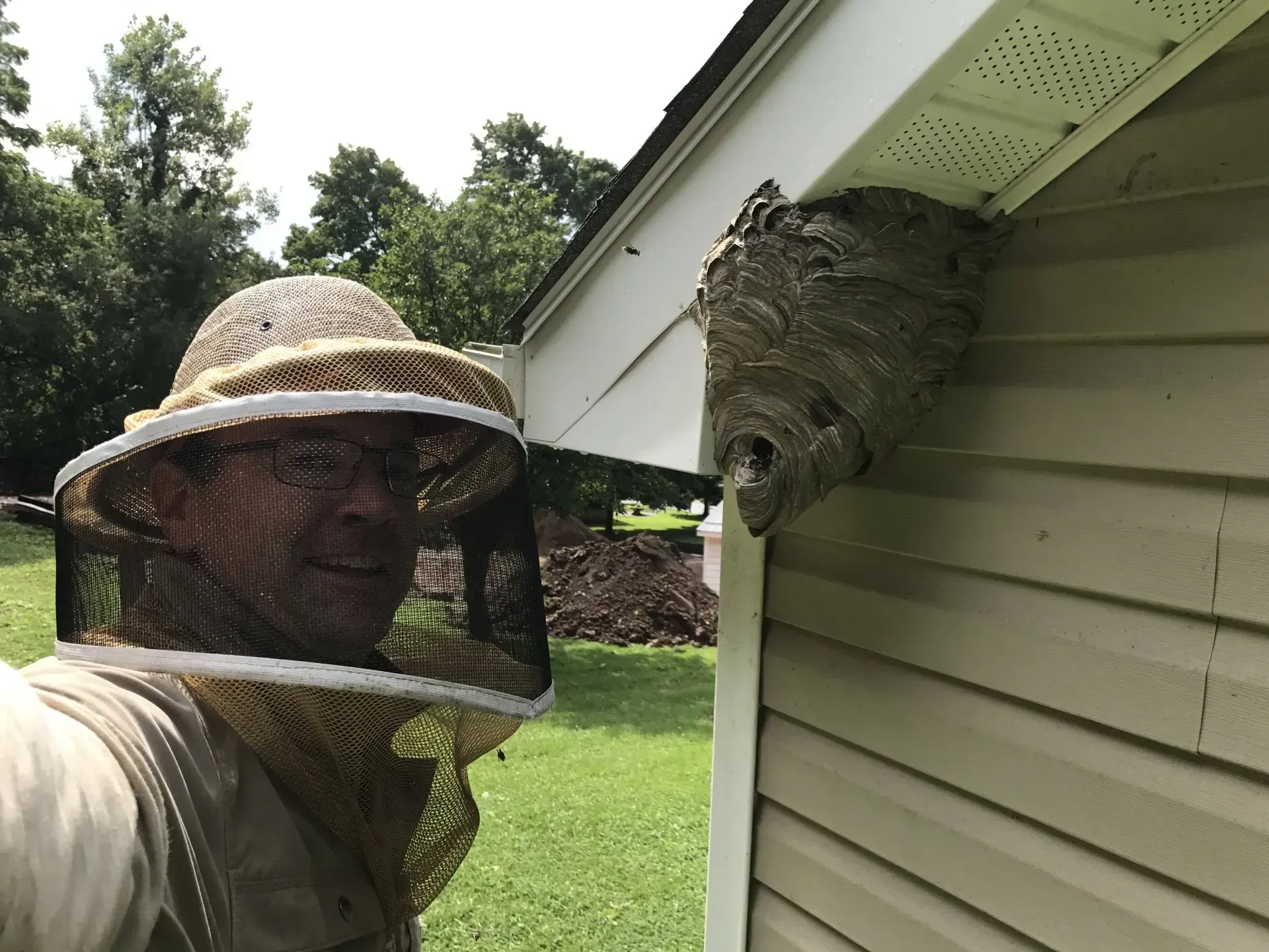 Exterminating a Hornets Nest on a Home
