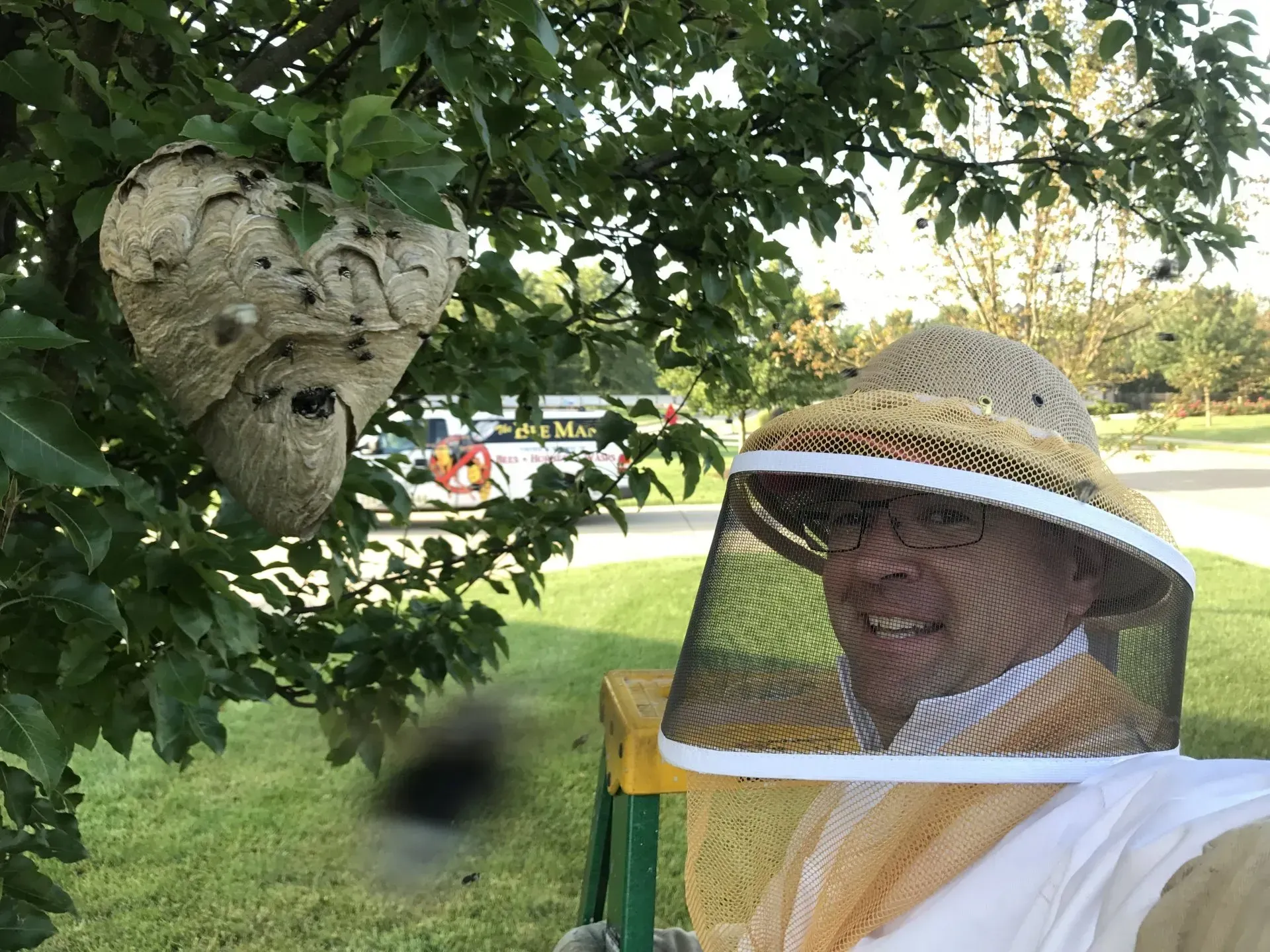 The Bee Man is Removing a Hornets Nest from a Tree