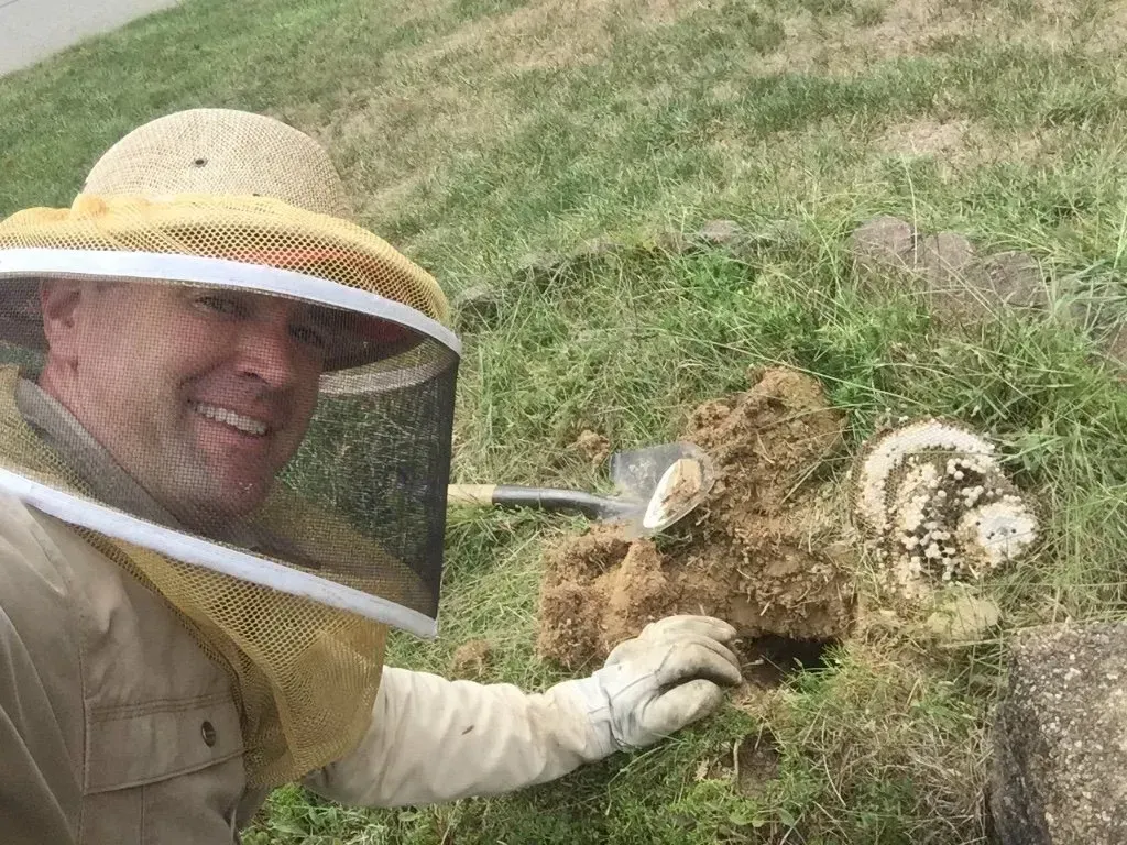 The Bee Man is Controling  Ground Bees