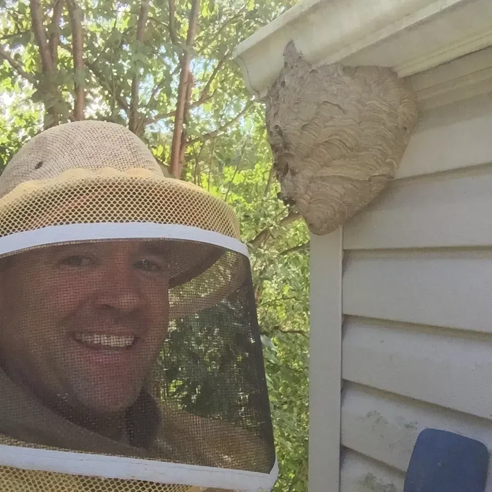 Dan Removes a Large Hornets Nest from a House