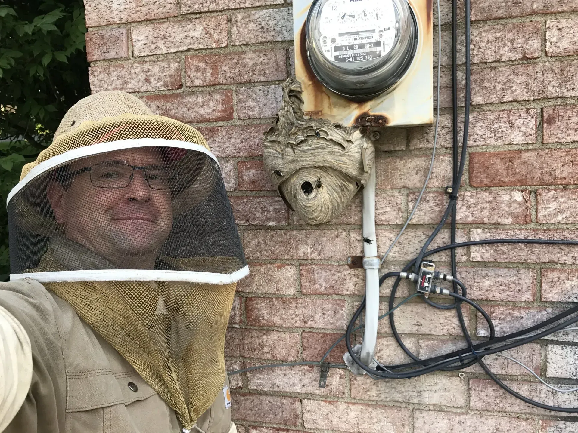 Removing Nest from an Electrical Box
