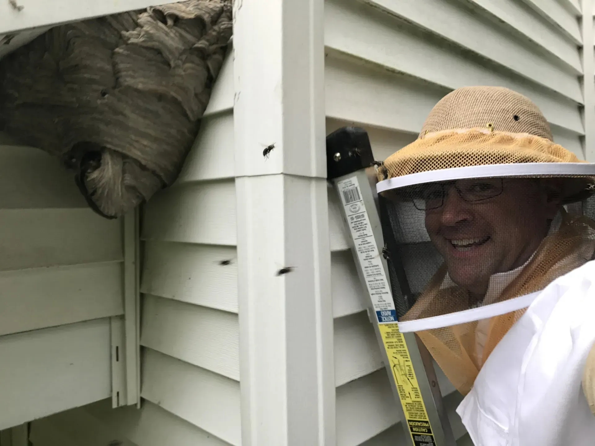 Controlling a Nest of Hornets from a Home