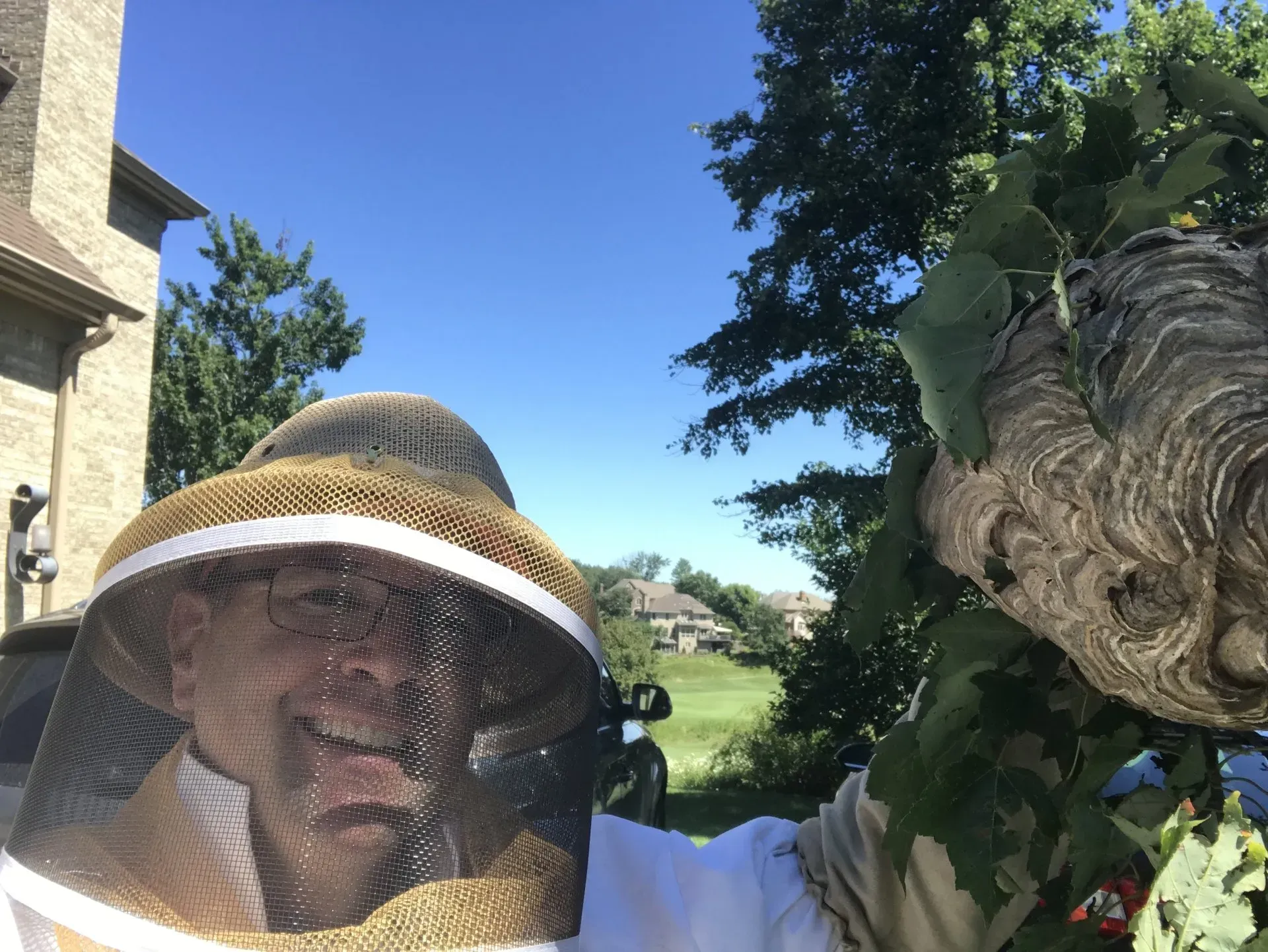 Dan the Bee Exterminator Removes a Hornet Nest