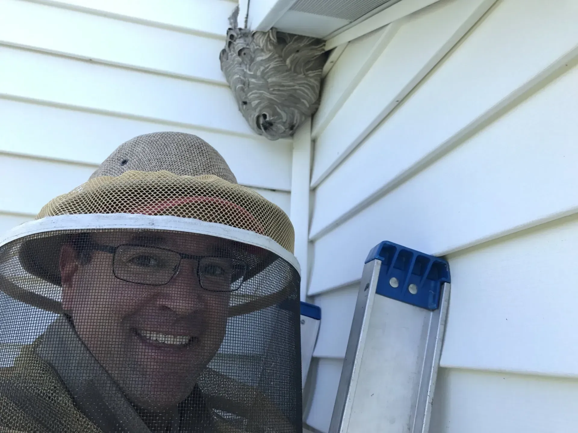 The Bee Exterminator Removes a Bee Nest from a Roofline