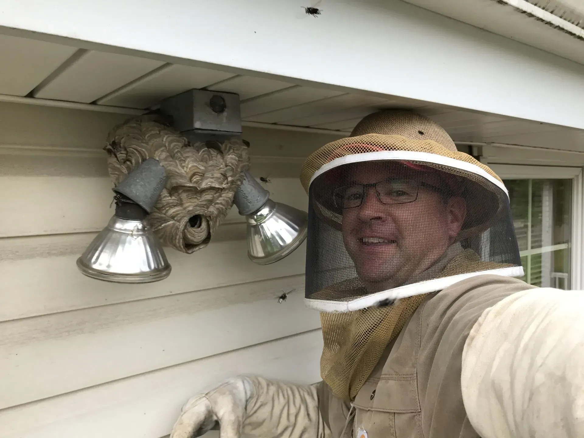 Removing a Hornet Nest from a Home
