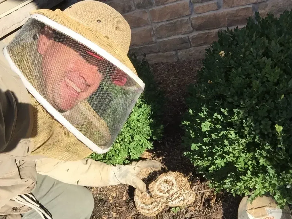 The Bee Man Removes a Ground Bee 