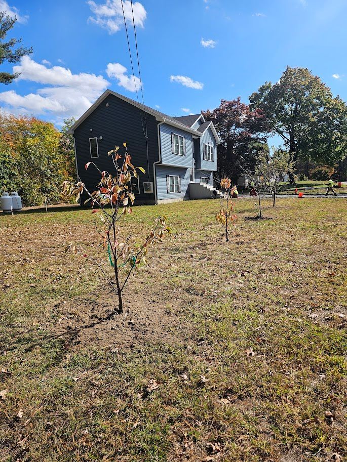 A blue two-story house stands in the background behind several young, sparsely-leaved trees in a grassy yard