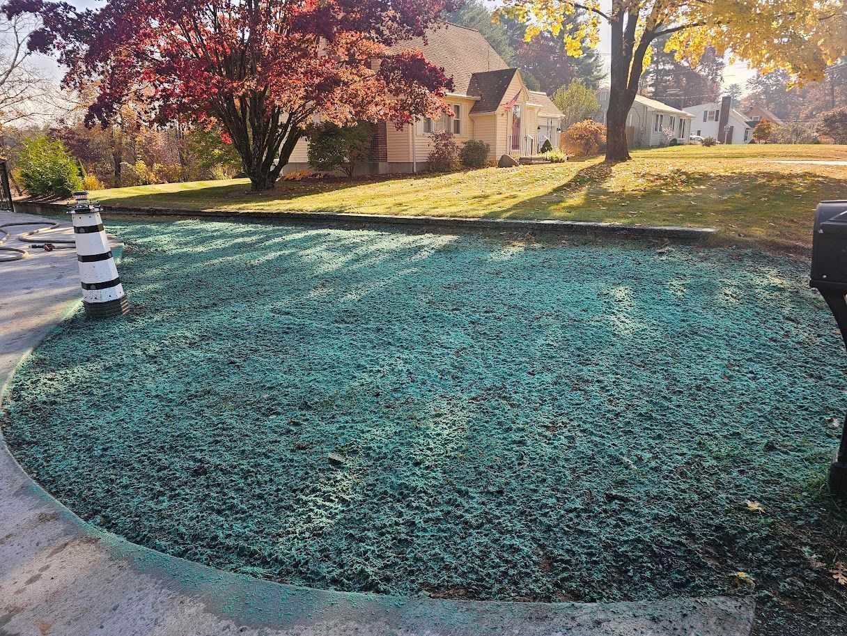 A residential front yard covered with a layer of bright teal-colored hydroseed mulch in front of a house
