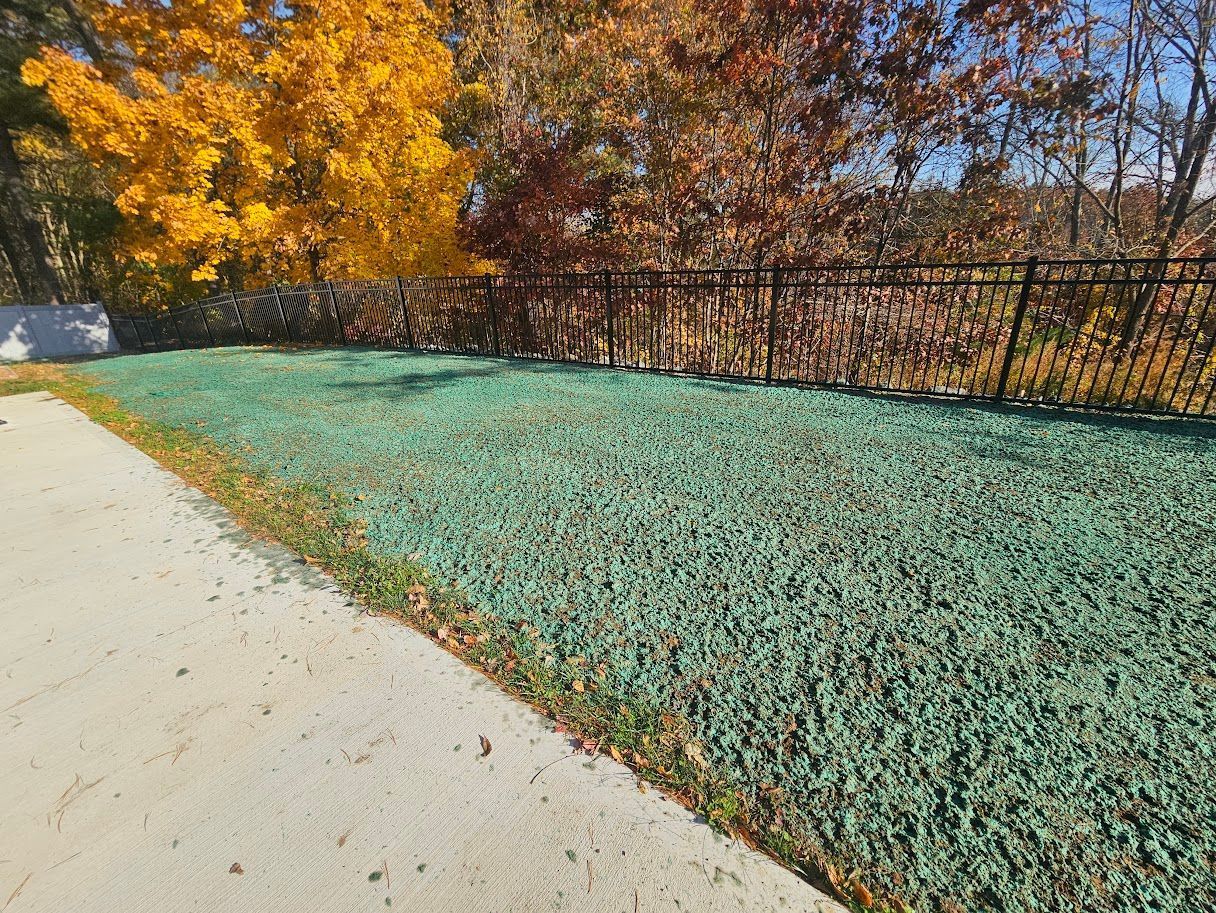 A patch of ground covered in green hydroseeding mulch next to a concrete sidewalk, with autumn trees in the background