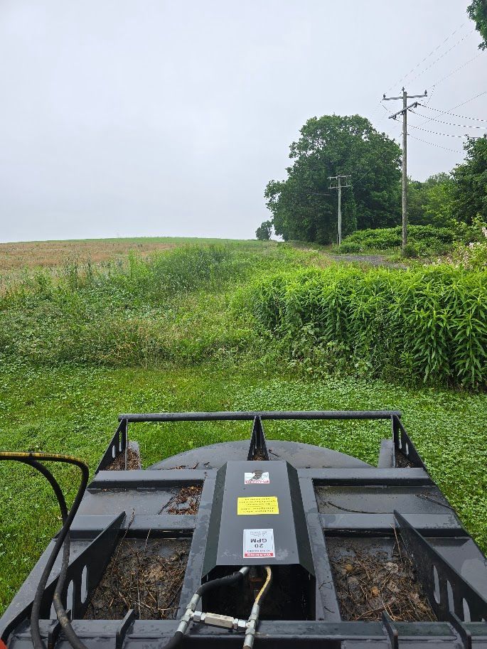 Mowing overgrown vegetation with a machine; field, trees, and power lines in the background. Overcast day.