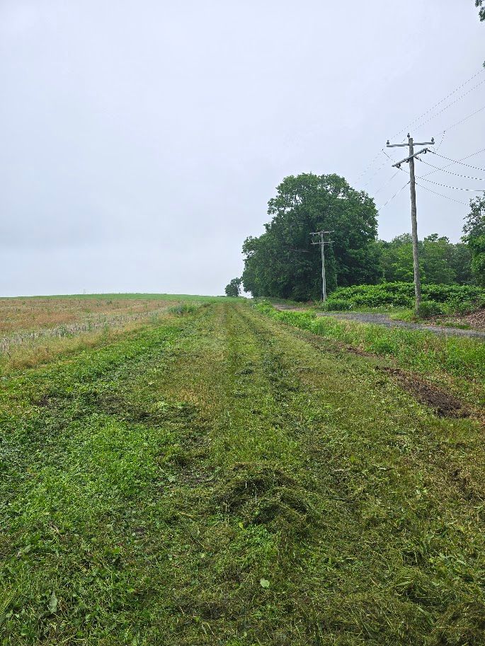 Grassy path through a field under a cloudy sky, trees line the right side with utility poles.