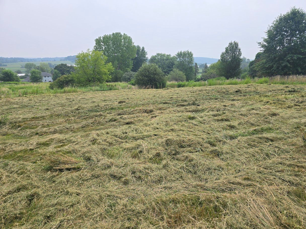 Field of mowed grass with trees in the background under an overcast sky.