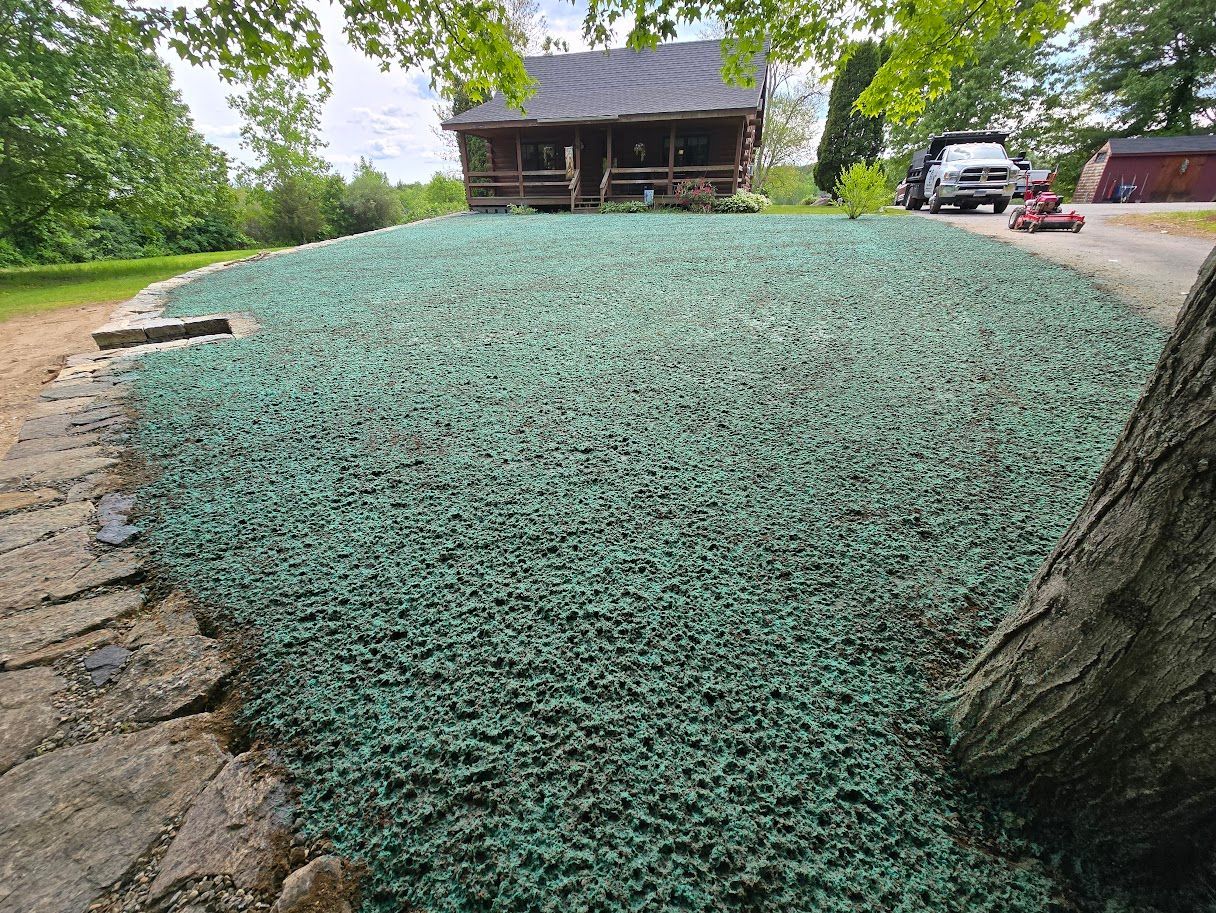 A cabin with a green-covered hill in front; a truck and lawnmower visible.