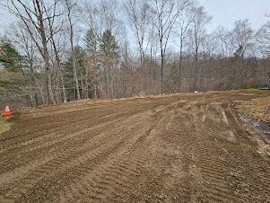 A freshly graded dirt lot with tire tracks, set against a backdrop of bare trees under an overcast sky.