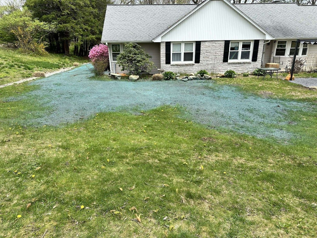Lawn with new grass seed, house in background. Seed is blue, lawn is green, house is brick with black shutters.