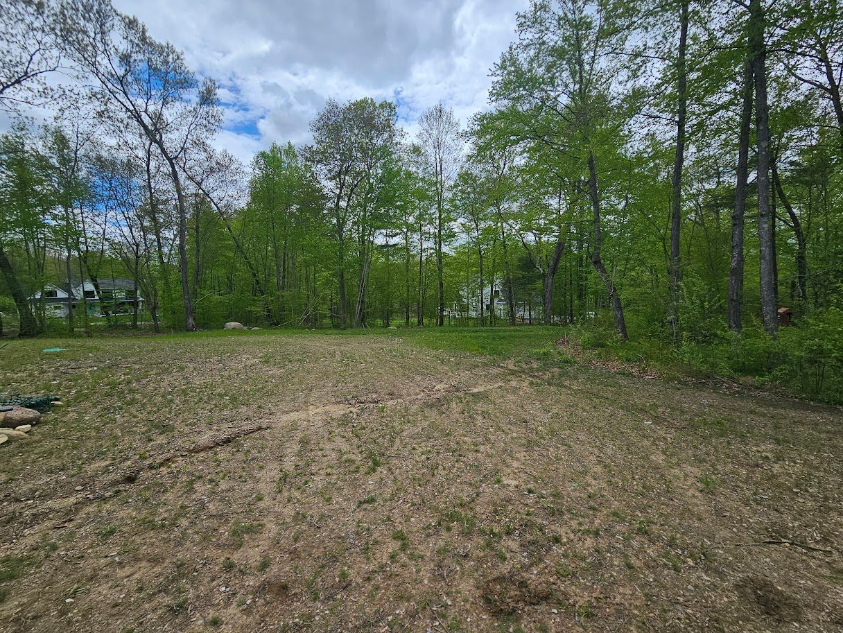 Grassy clearing bordered by green trees under a partly cloudy sky.