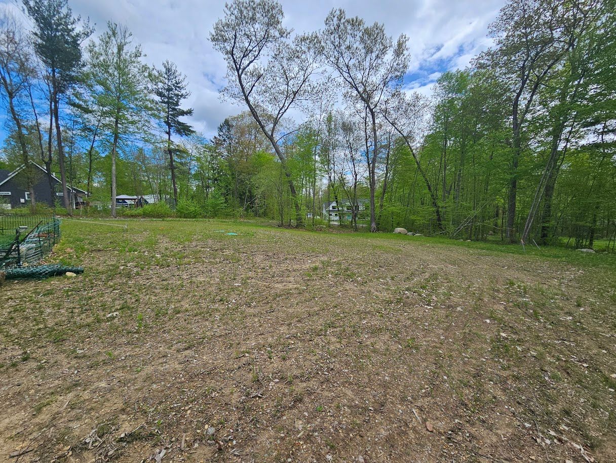 Grassy clearing with sparse vegetation, trees and blue sky background.