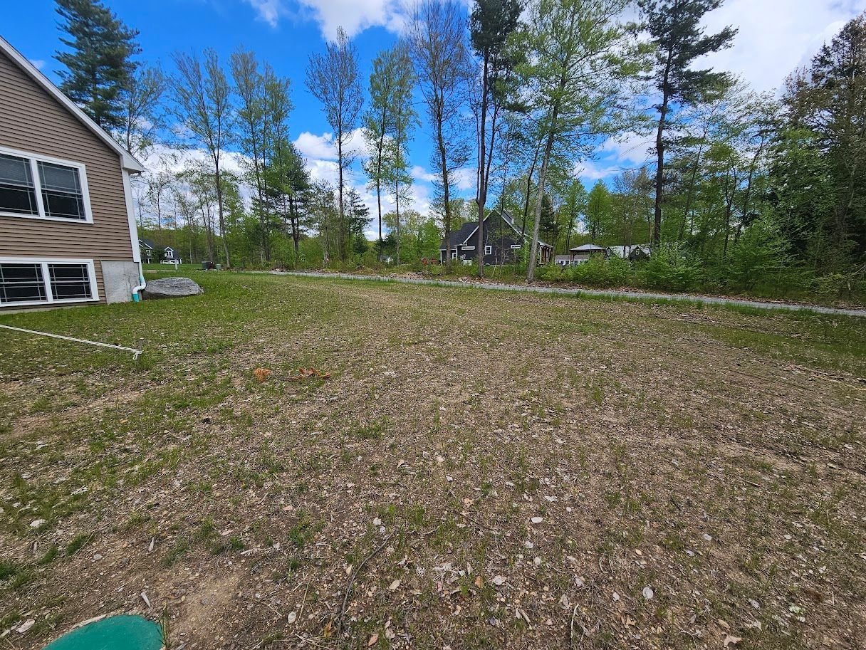Brown grassy yard with scattered leaves, house on the left, trees in the background, blue sky.