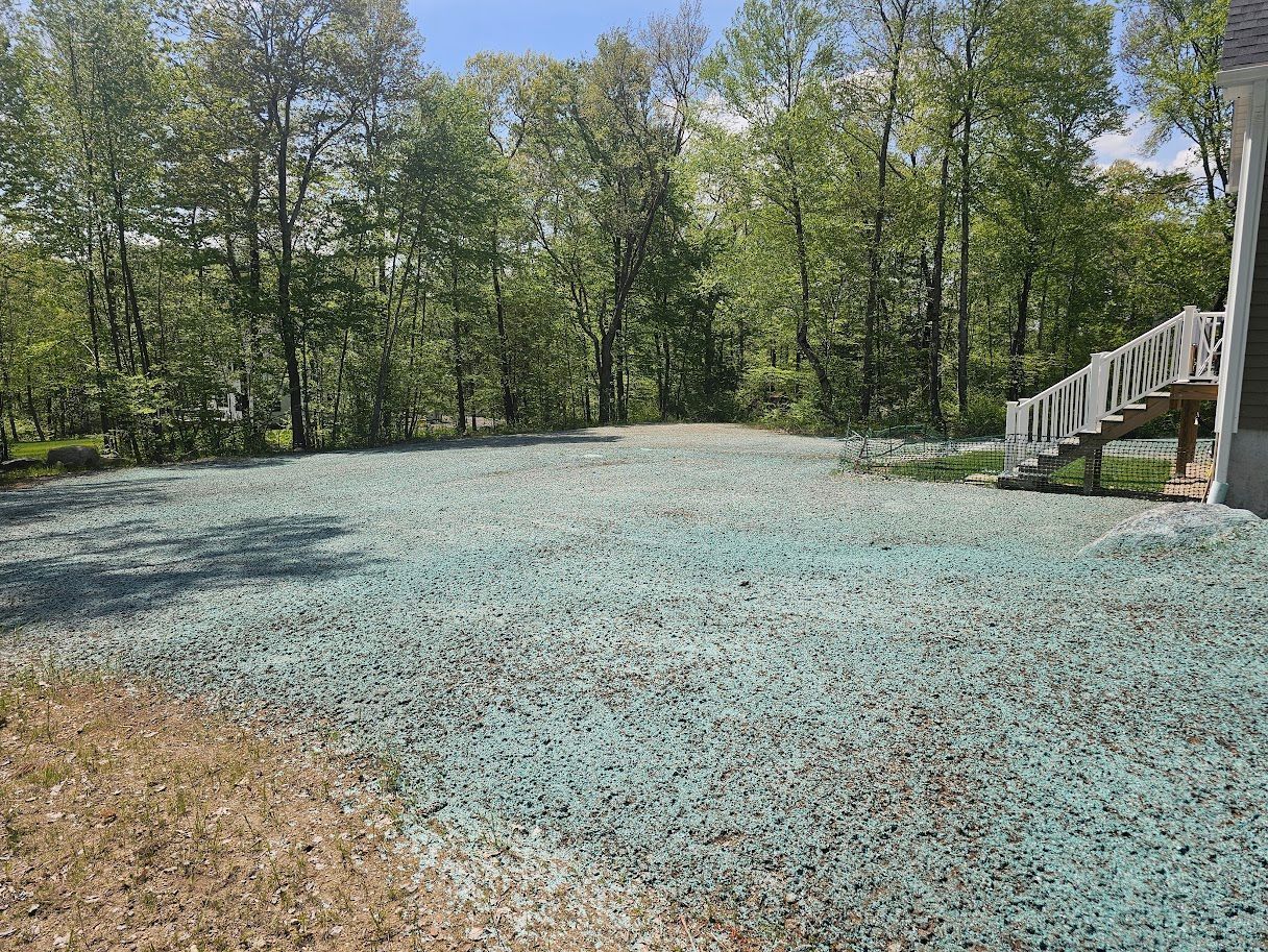 Newly seeded lawn with green dye, trees in background, wooden steps on right.