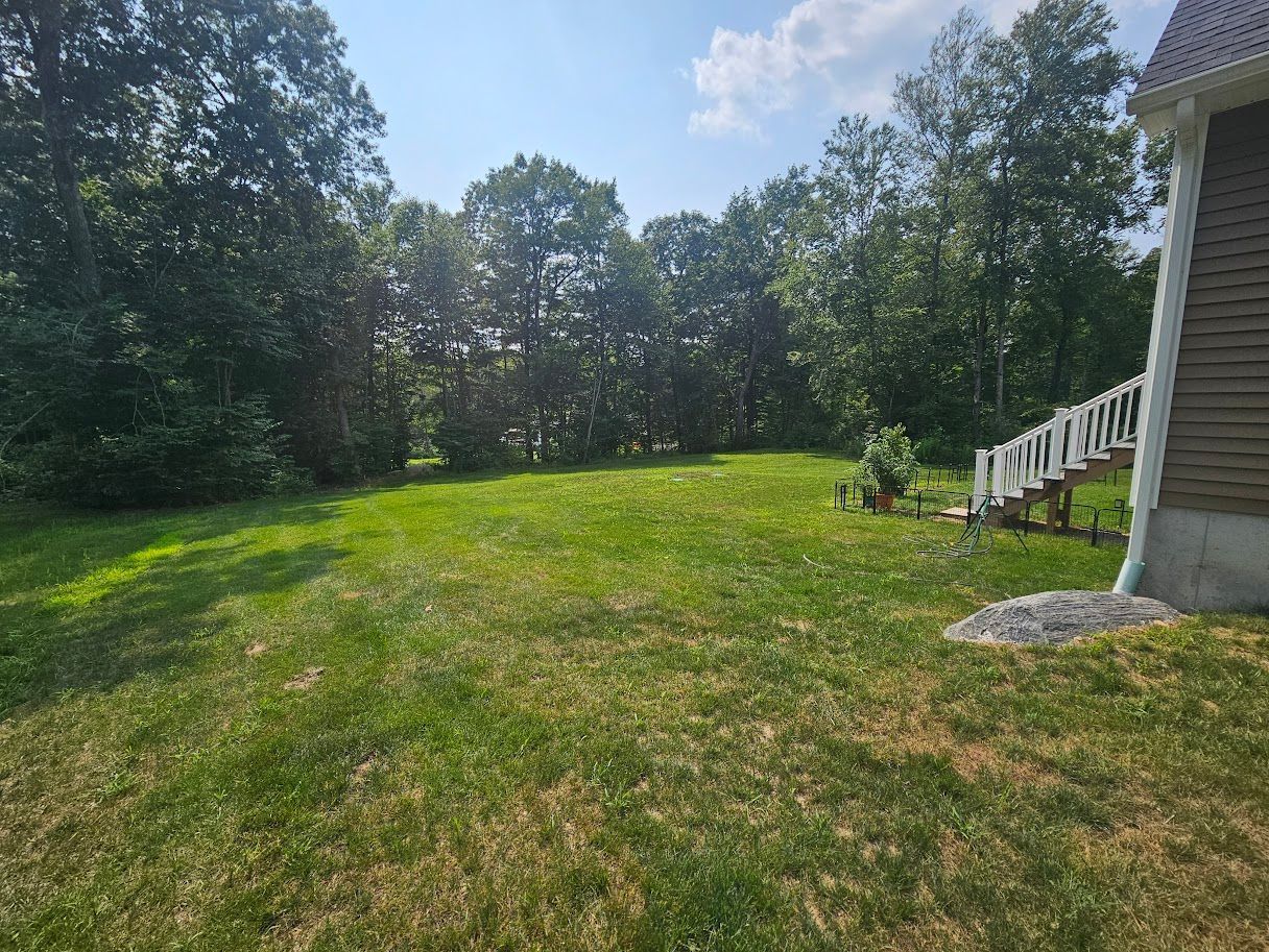 Green lawn with trees in the background, next to a house with white stairs. Sunny day.