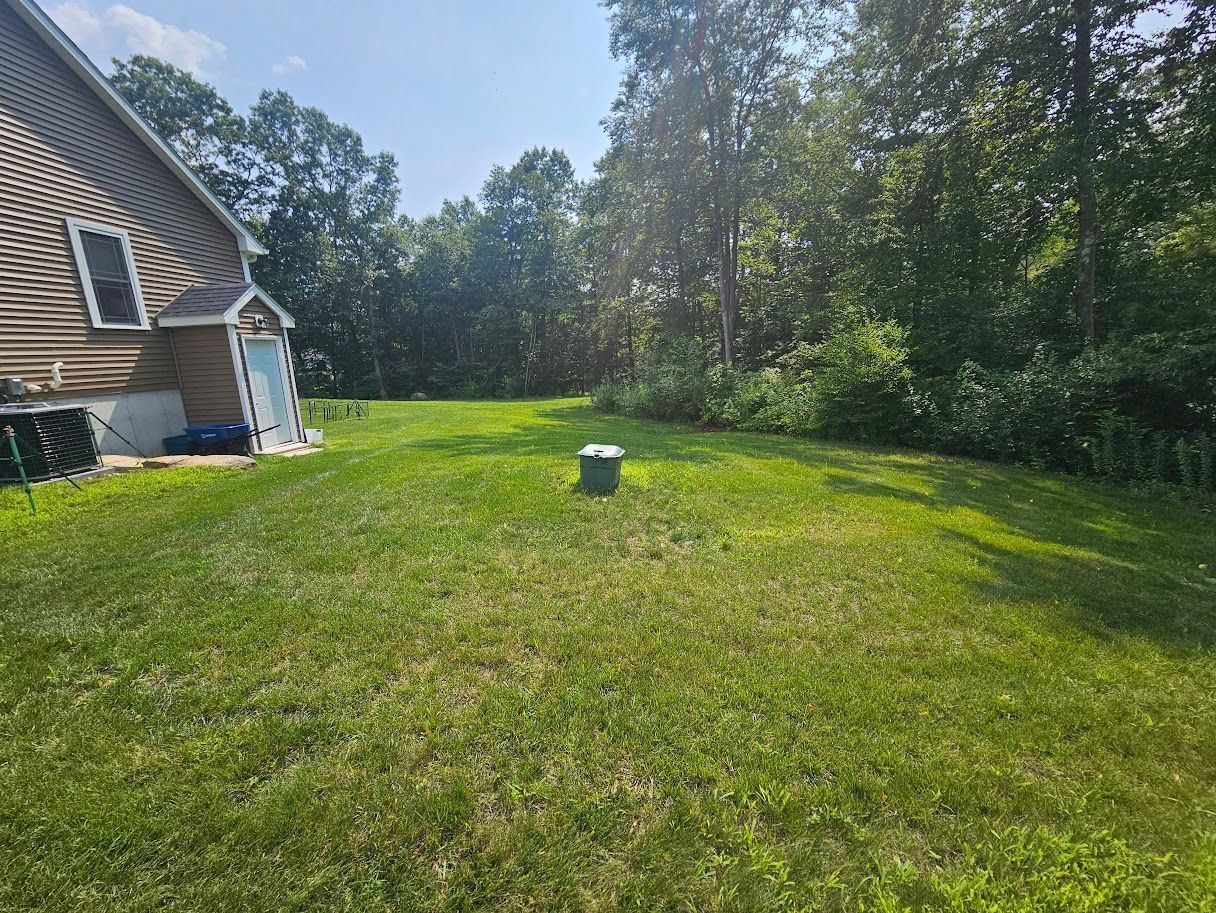 Lawn next to a house with a door, a box, and trees in the background. Green grass and sunny day.