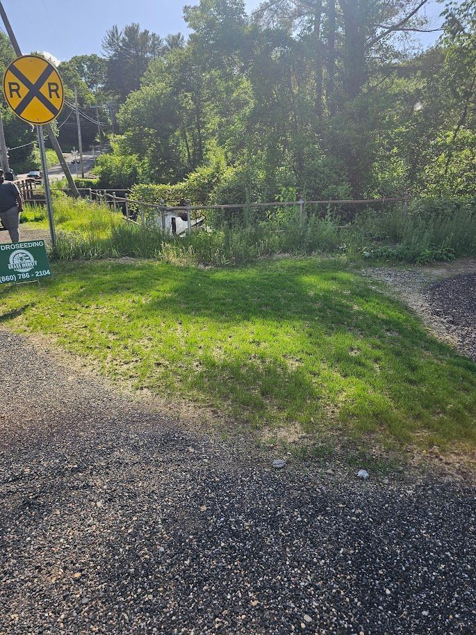 Railroad crossing sign with a grassy embankment, gravel path, and trees in the background.