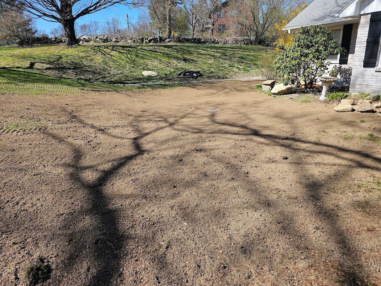 Brown yard with tree shadow; building on right; stone wall in background.