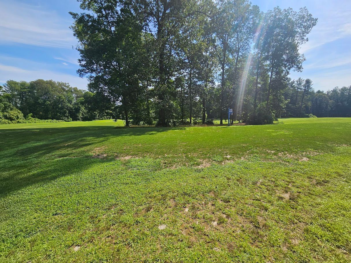 A bright, grassy field leads toward a small cluster of tall, green trees under a clear blue sky