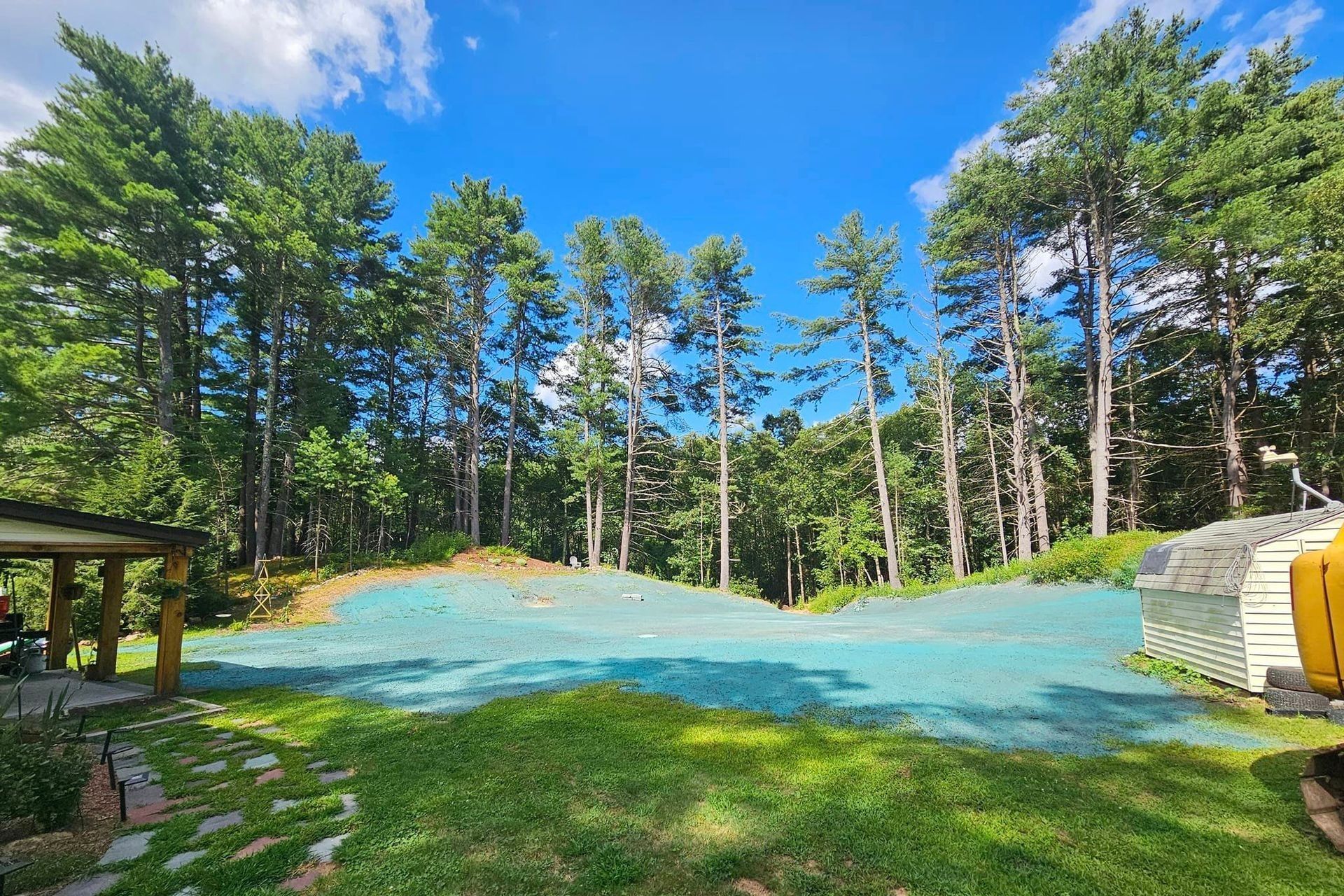 a lush green field with trees in the background and a shed in the foreground .