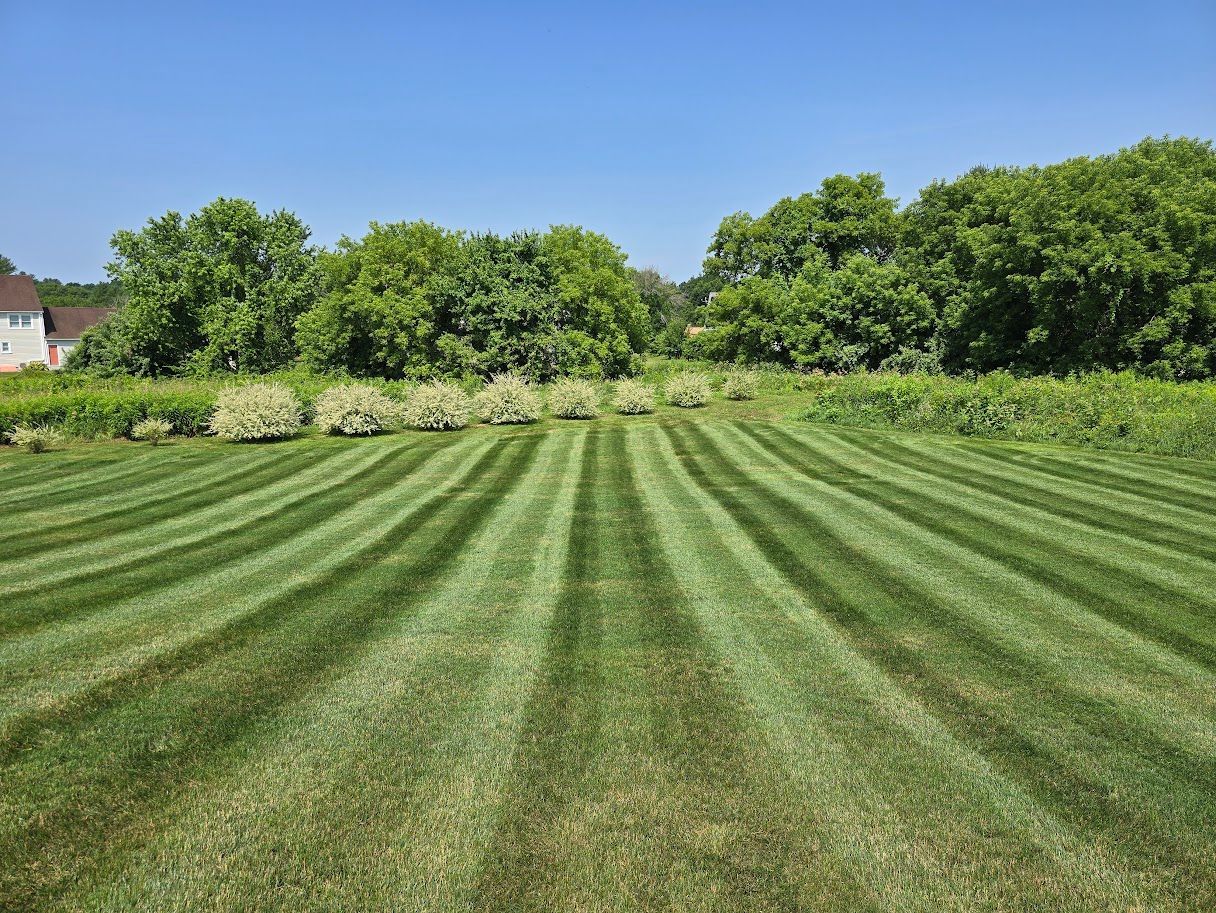 Lawn with alternating dark and light green stripes, trees in the background under a clear blue sky.