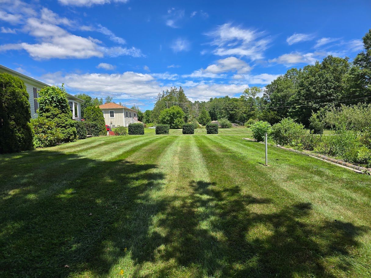 Lawn mowed in striped pattern with buildings and trees under a blue sky with clouds.