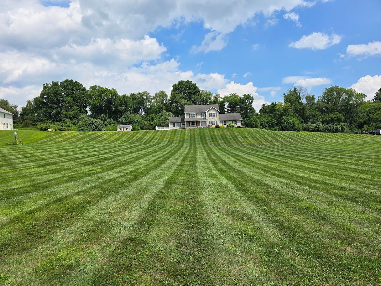 Green lawn mowed in curved stripes, leading to a house under a blue sky.