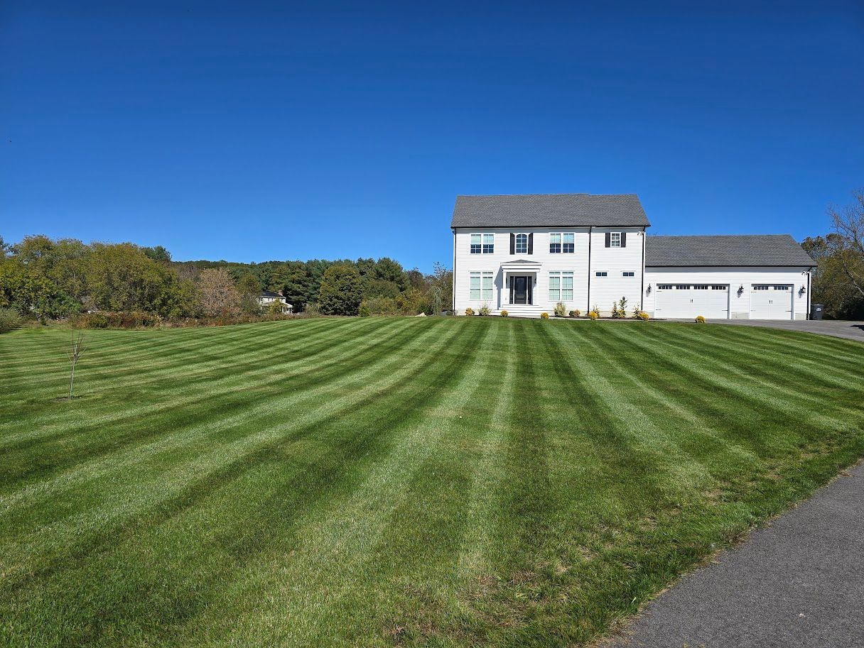 White house with striped green lawn under a clear blue sky.