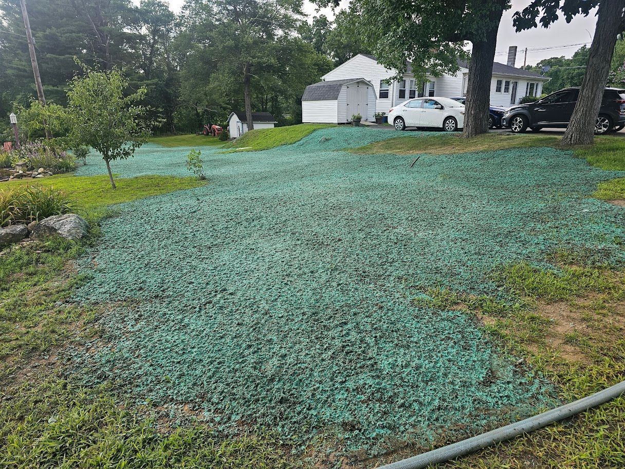 A residential yard covered in bright green hydroseeding mulch, with a house, white shed, and cars visible in the background