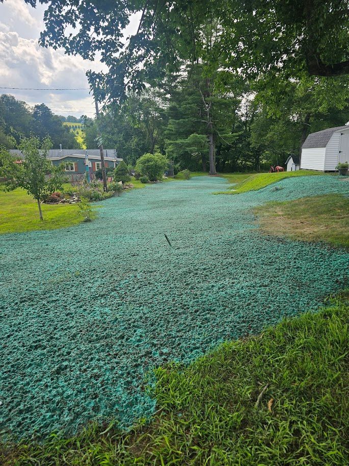 A yard area covered in bright green hydroseeding mulch, with a white building and trees in the background