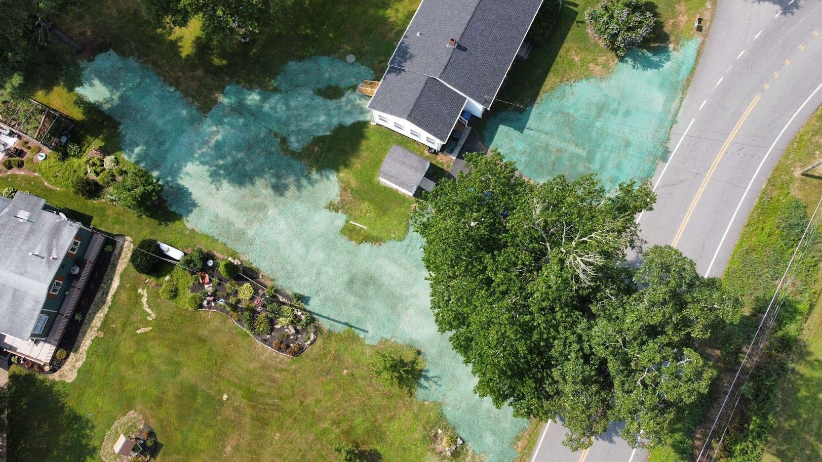 Aerial view of a residential yard covered in light green hydroseed mulch next to a road and two houses