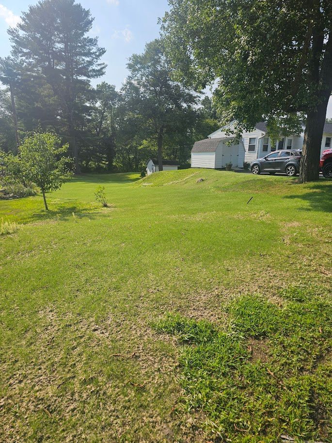 A grassy backyard with trees, a small shed, and a car parked near a house under a sunny blue sky