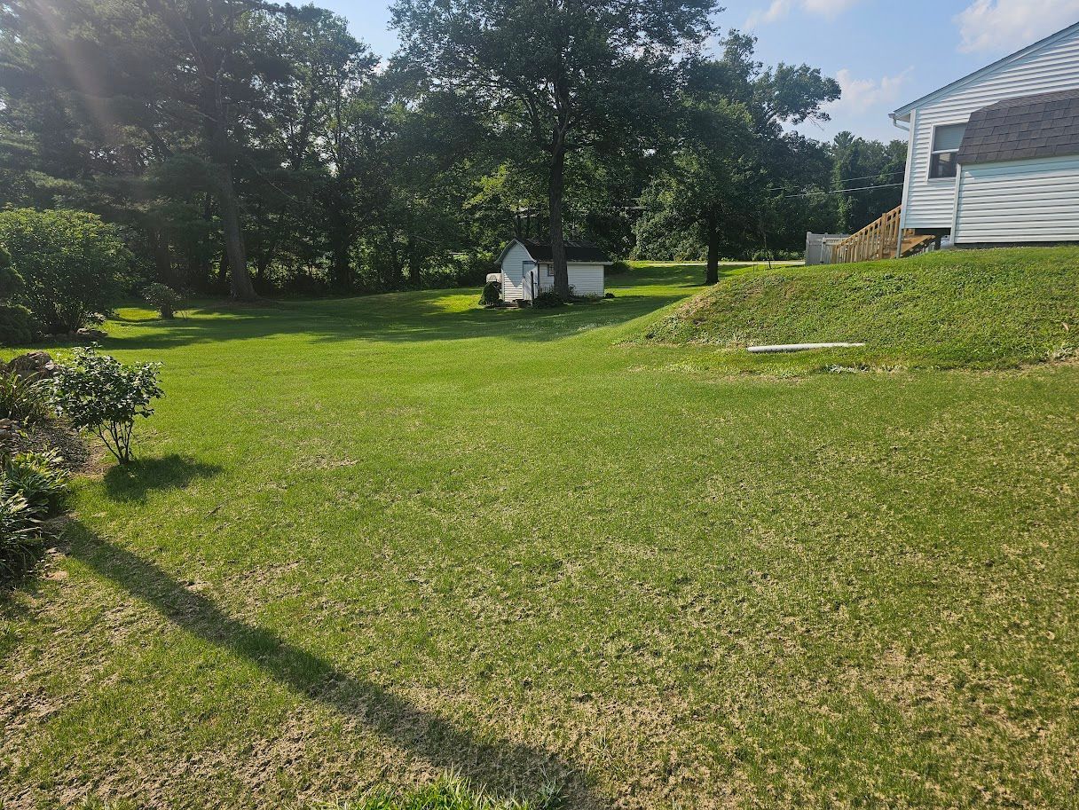 A grassy residential backyard featuring a small shed in the distance, surrounded by trees and a side of a house