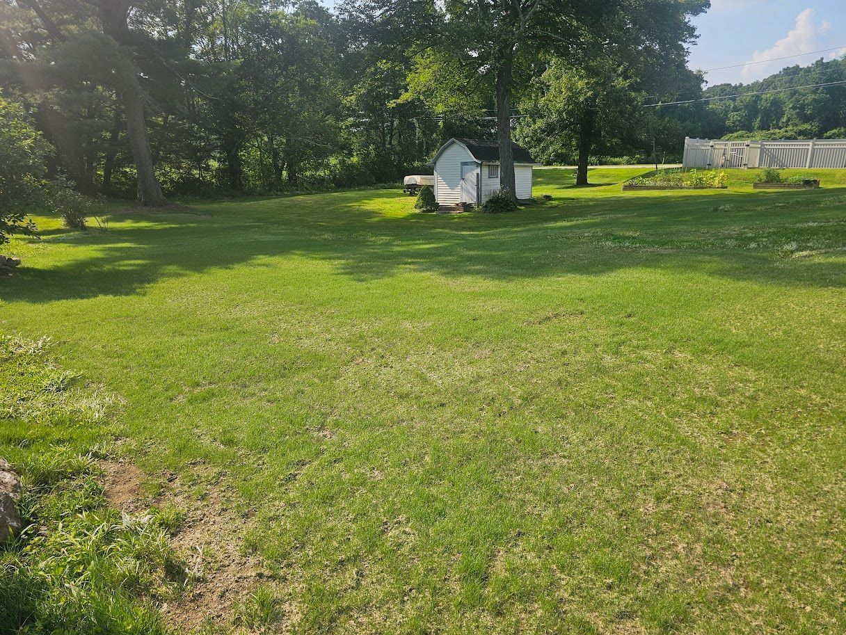 A grassy backyard with trees, a small white shed in the distance, and a white fence bordering the back of the property