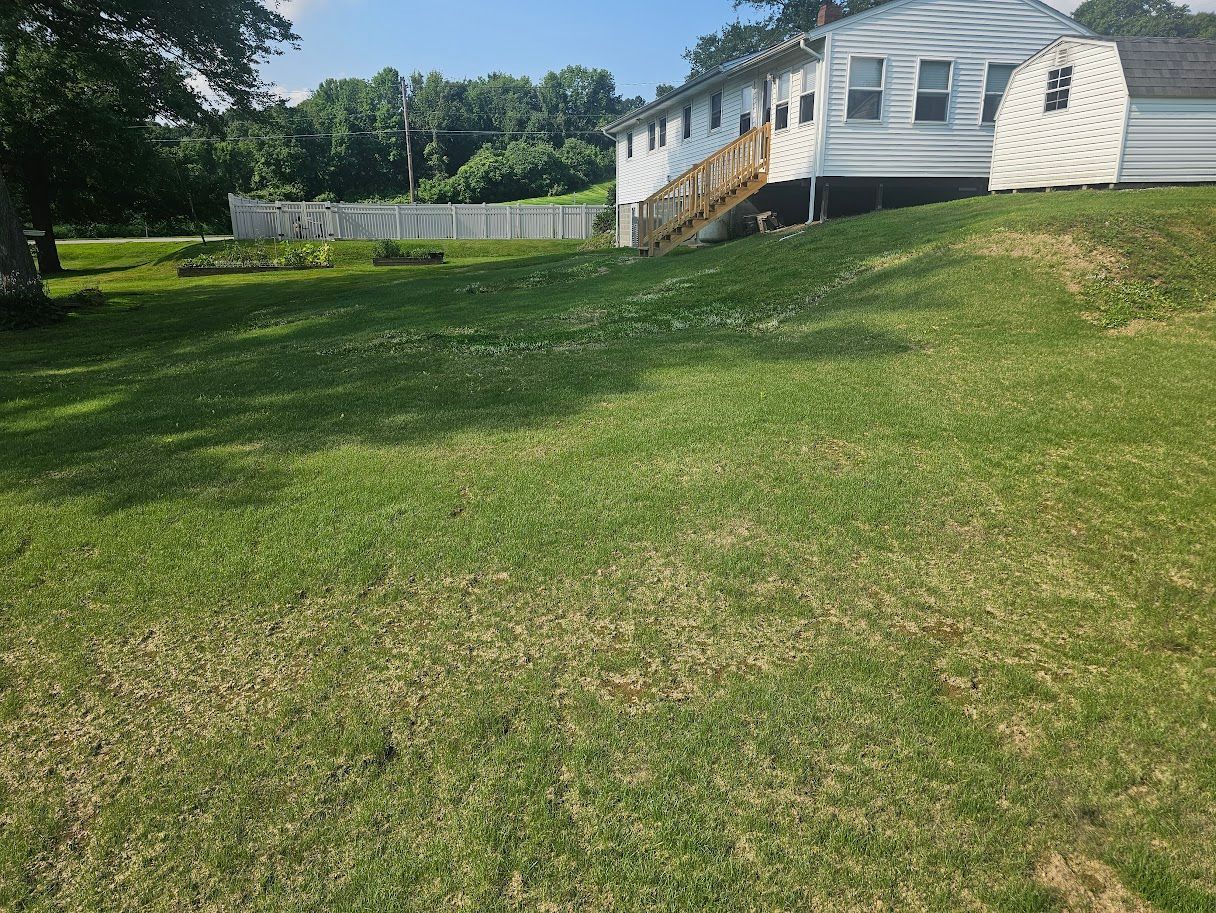 A grassy, sloped backyard leads to a white house with wooden stairs and a shed under a clear blue sky